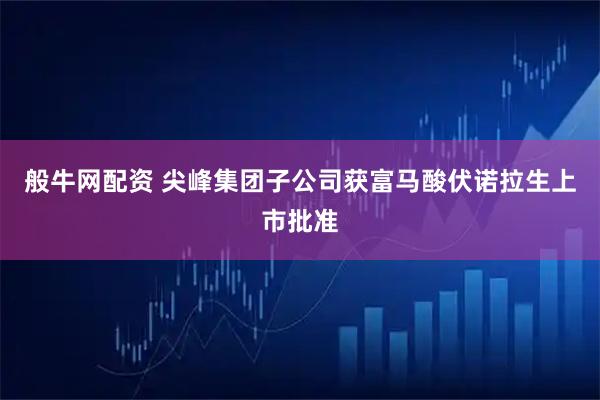 般牛网配资 尖峰集团子公司获富马酸伏诺拉生上市批准