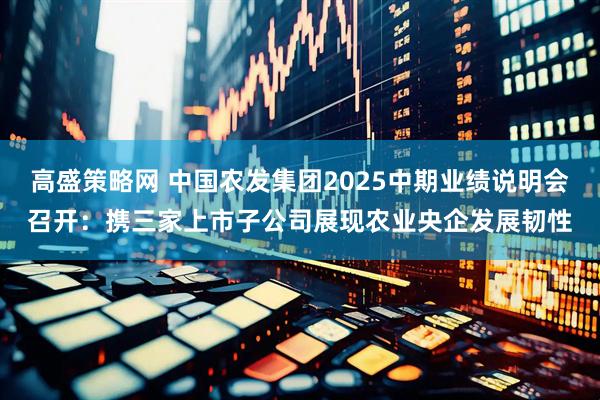 高盛策略网 中国农发集团2025中期业绩说明会召开：携三家上市子公司展现农业央企发展韧性