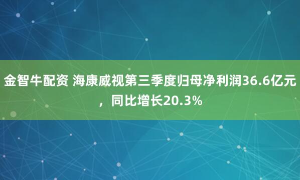 金智牛配资 海康威视第三季度归母净利润36.6亿元，同比增长20.3%