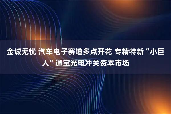 金诚无忧 汽车电子赛道多点开花 专精特新“小巨人”通宝光电冲关资本市场