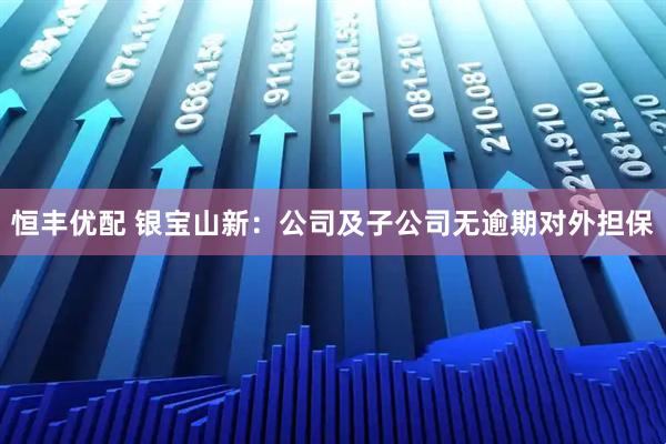 恒丰优配 银宝山新：公司及子公司无逾期对外担保